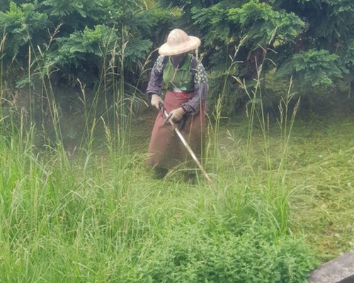 割草, 除草